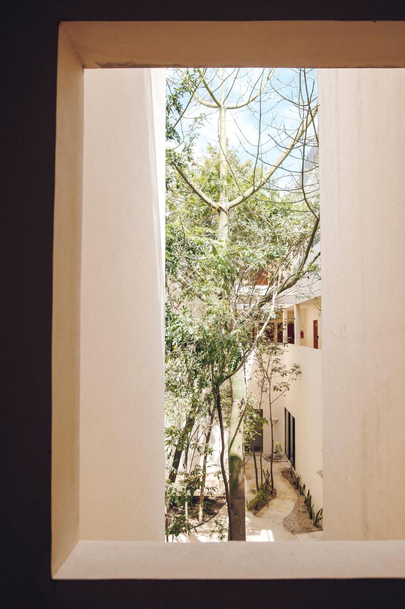 2 Bikes Free Exlusive Building Close To The Sea Tulum Esterno foto