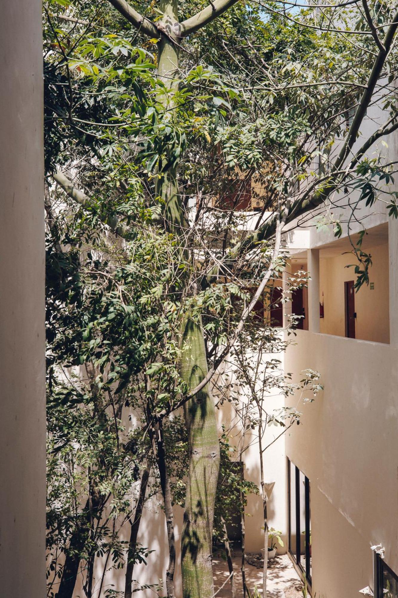 2 Bikes Free Exlusive Building Close To The Sea Tulum Esterno foto